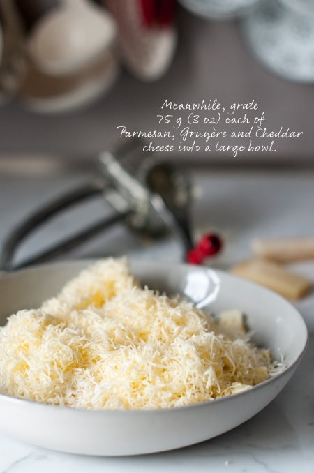 grated cheese with vintage cheese grater