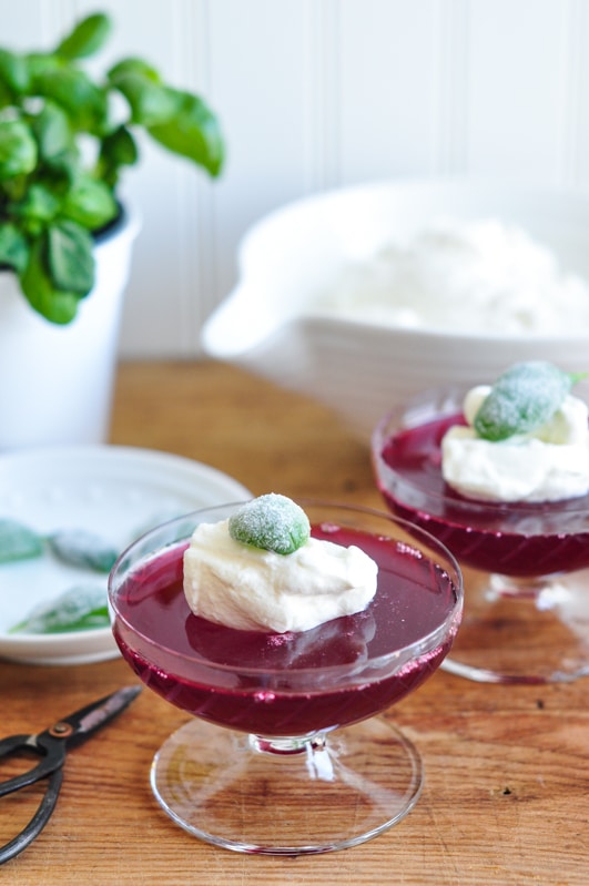 plum jelly with elderflower chantilly and crystallised basil leaves
