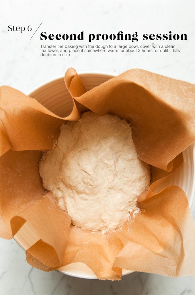 bread dough in baking paper in white mixing bowl