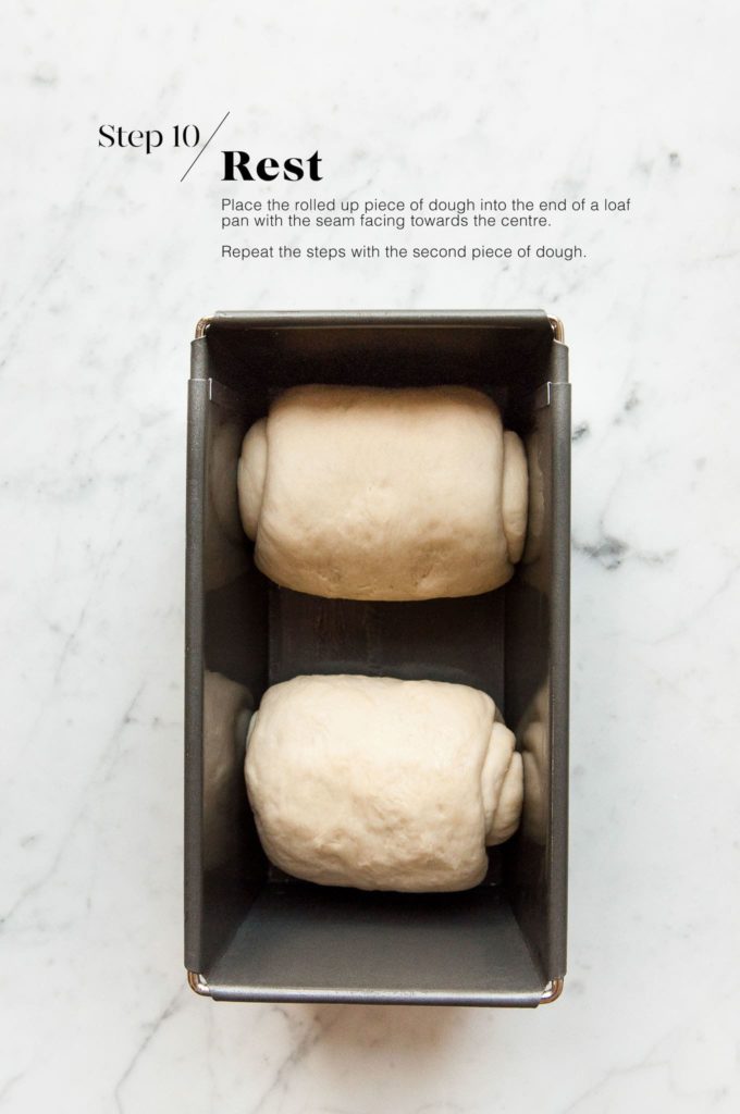 proving dough for Japanese milk bread in loaf pan
