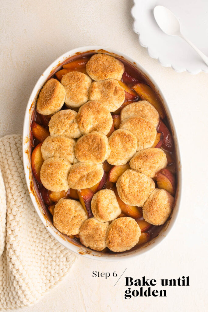 peach cobbler baked from the oven