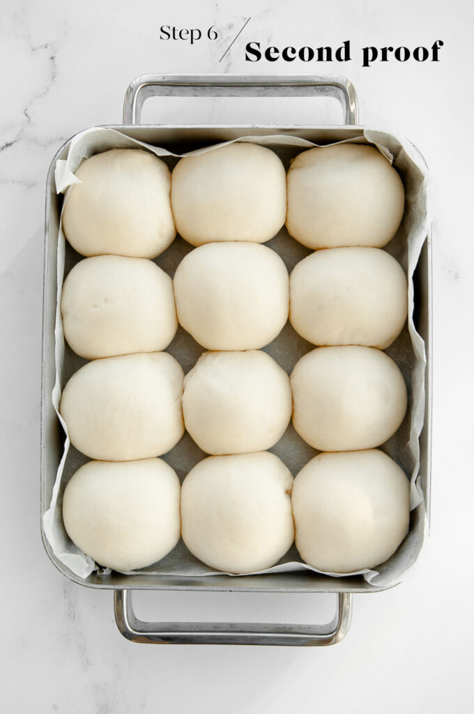 bread rolls in baking tray after proofing