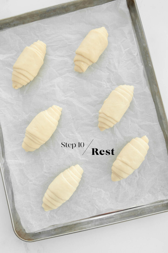 shaped salted butter rolls