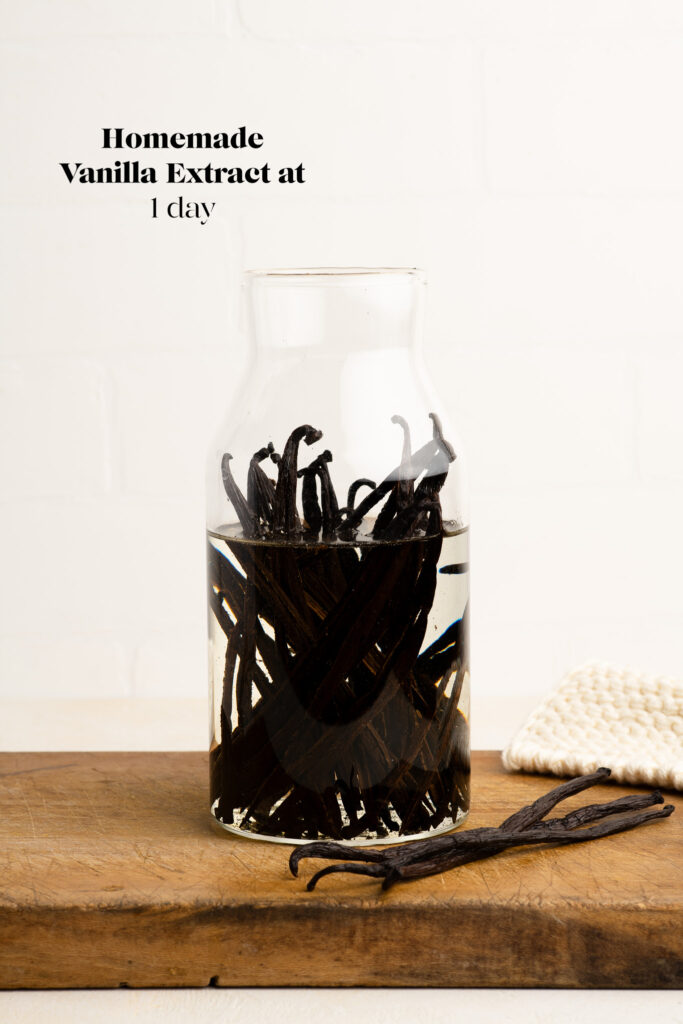 homemade vanilla extract after 1 day