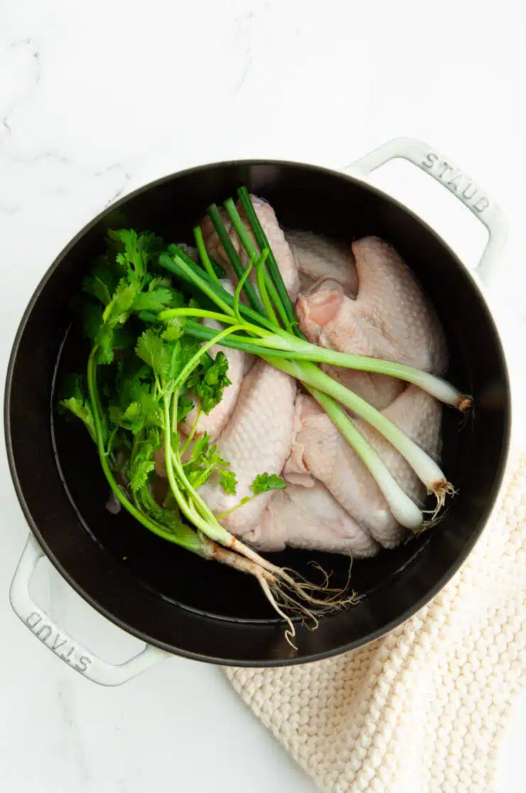chicken wings with coriander and spring onions in pot