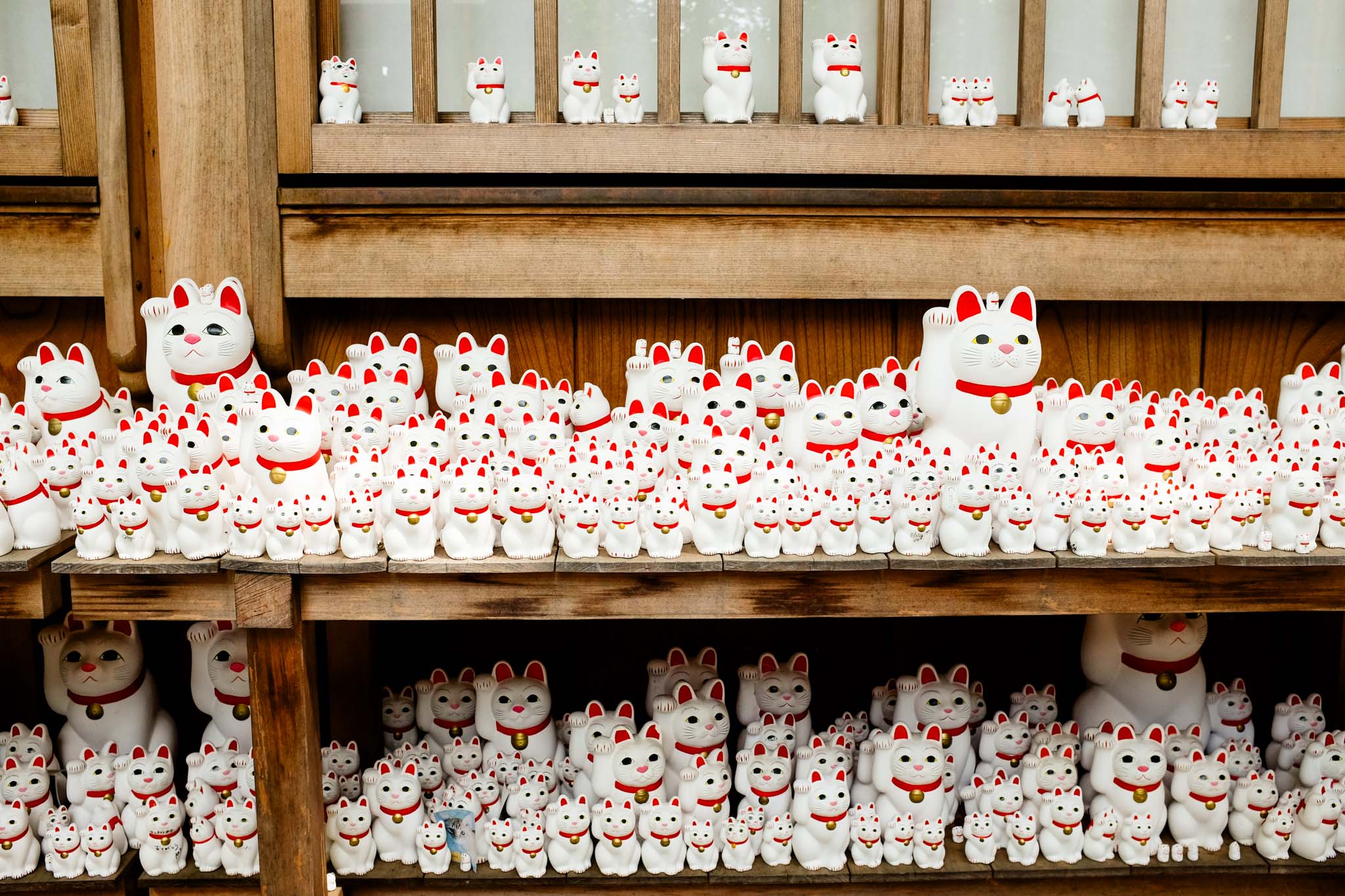 gotokuji temple in tokyo